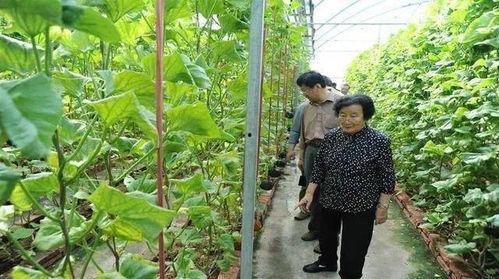 吴忠吃瓜最新事件爆料是真的吗  第2张